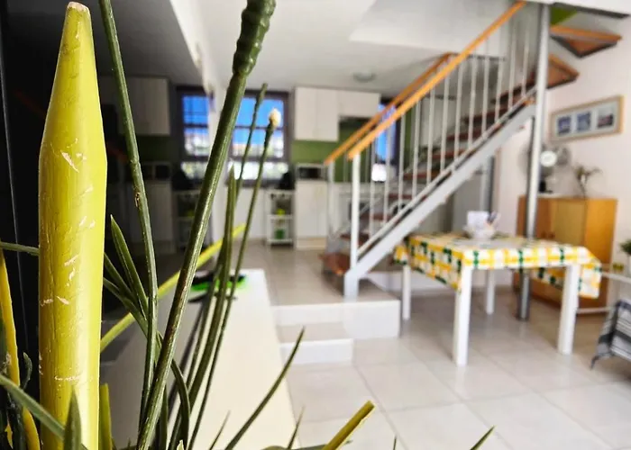 El Cortijo Playa Americas *